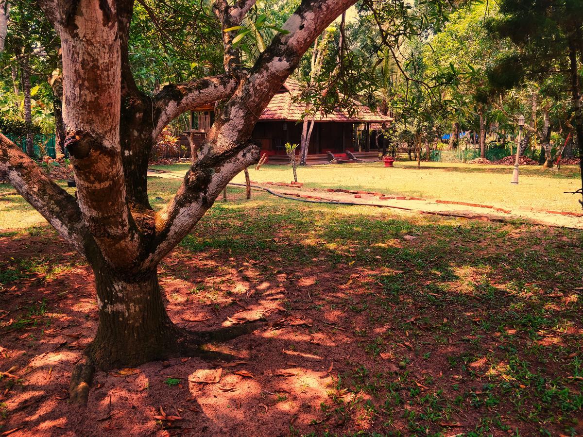 Palathra Heritage Mararikulam Dış mekan fotoğraf